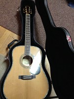 Zager EZ-Play ZAD80 Acoustic  