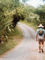 Zager EZ-Play ZAD20E Acoustic Electric Vintage Sunburst