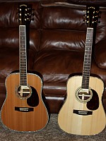 Zager EZ-Play ZAD900 Professional