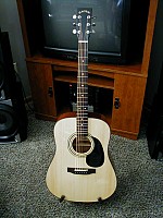 Zager EZ-Play ZAD20 Acoustic Natural