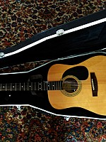 Zager EZ-Play ZAD20 Acoustic Natural