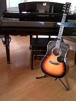 Zager EZ-Play ZAD20E Acoustic Electric Vintage Sunburst