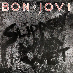 Bon Jovi - Something To Believe In(These Days)