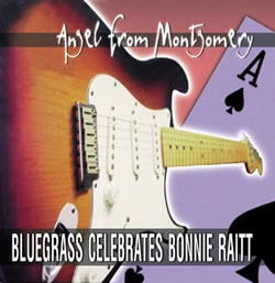 Bonnie Raitt - Angel From Montgomery